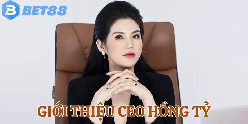 Giới thiệu tổng quan về CEO Hồng Tỷ
